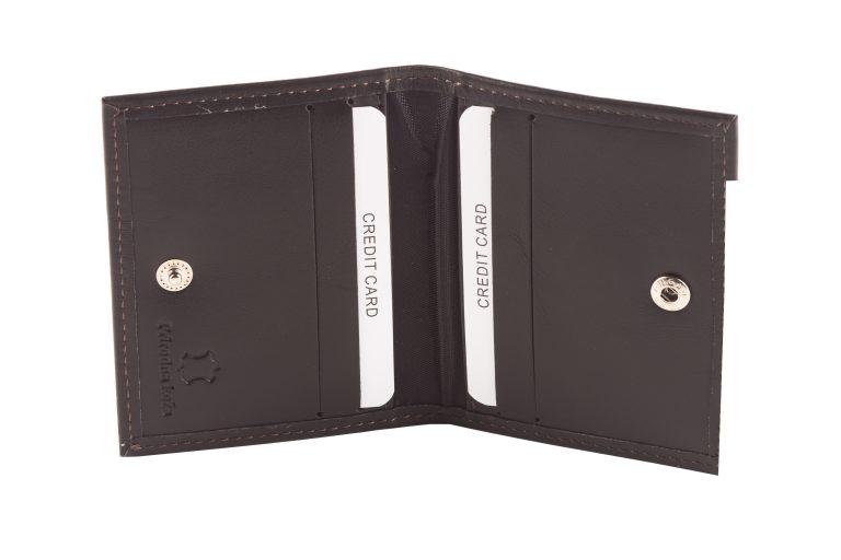 ETUI ZA KARTICE CARTOS