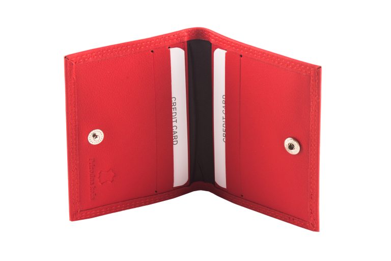 KOŽNI ETUI ZA KARTICE CARTOS